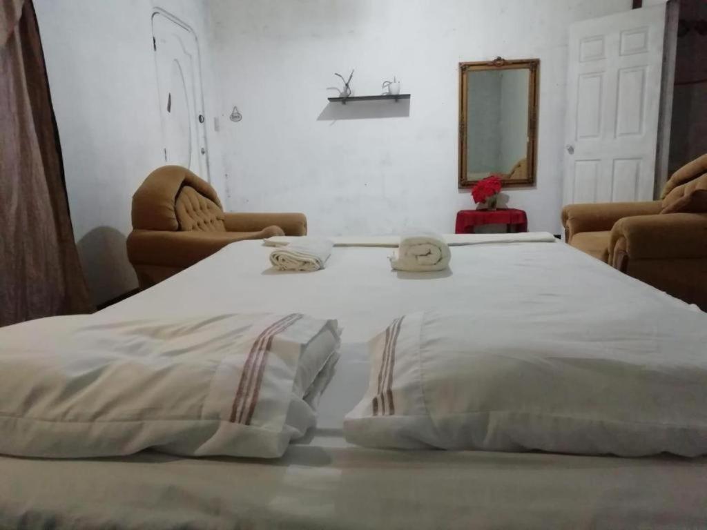 Hostal Brisas Del Ometepe Habitacion 1 リバス エクステリア 写真